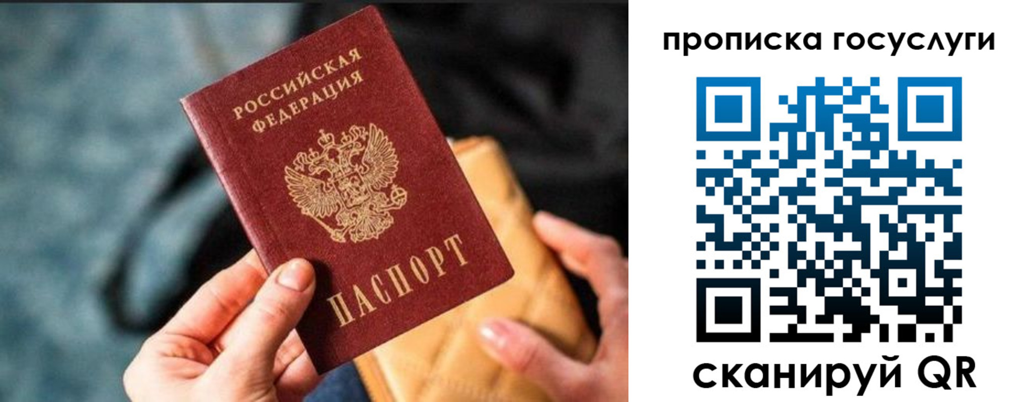 прописка 2025 в Липецке
